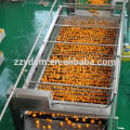 Commercial cashew apple juice making line